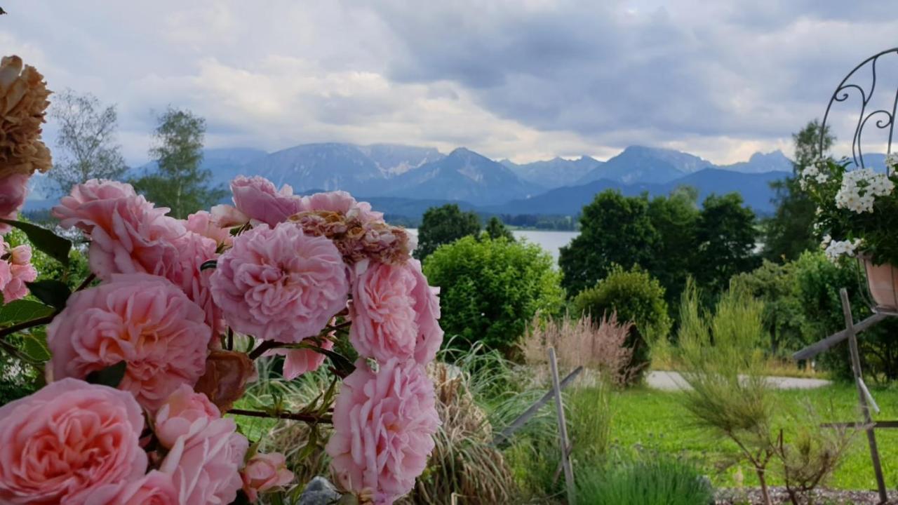 Landhaus Amberg Hopfen Am See // Hopfensee // Fuessen ภายนอก รูปภาพ