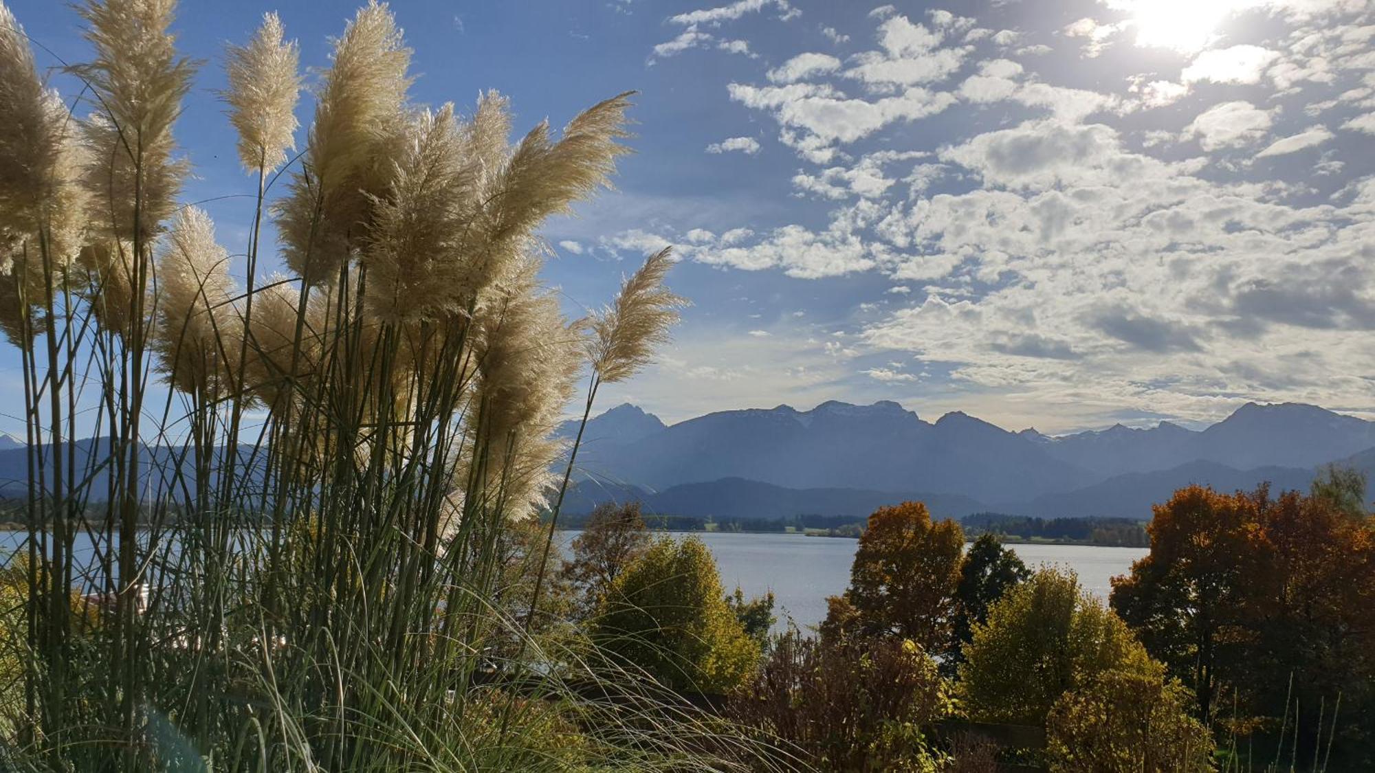 Landhaus Amberg Hopfen Am See // Hopfensee // Fuessen ภายนอก รูปภาพ